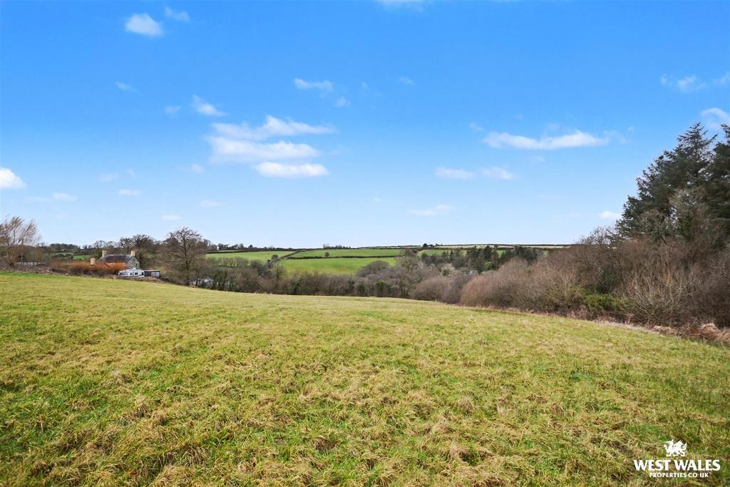 Middle field