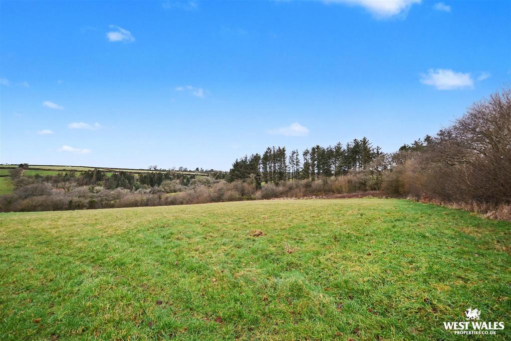 Middle field