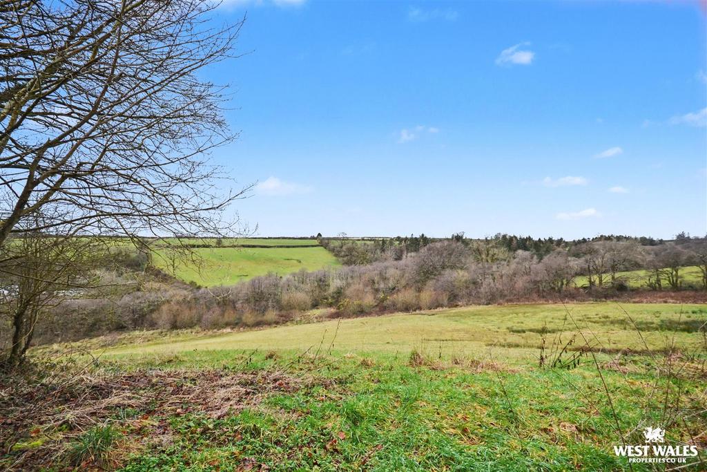 Lower field
