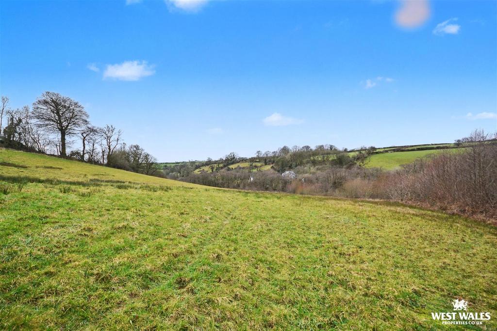 Lower field