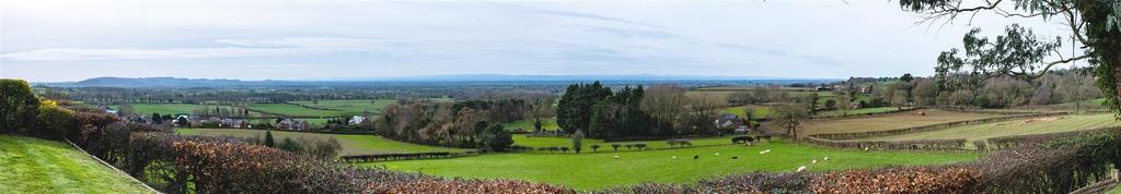 Long Meadow-001-2.jpg