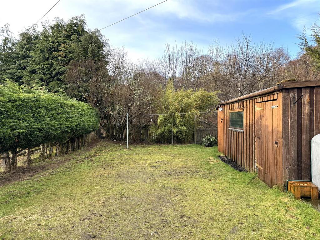 Rear garden.jpg