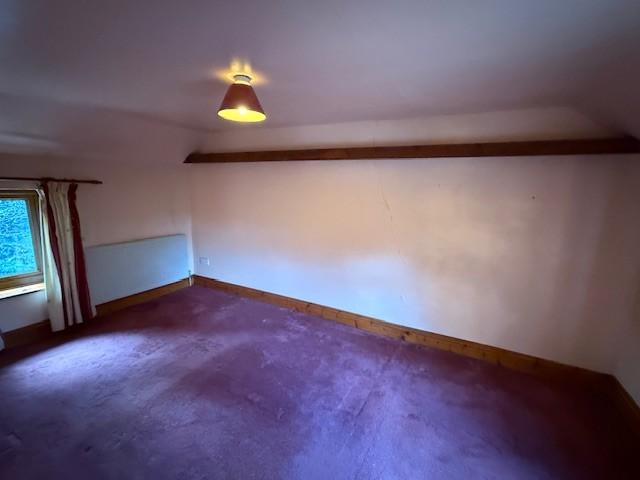 K T202602241511.jpg