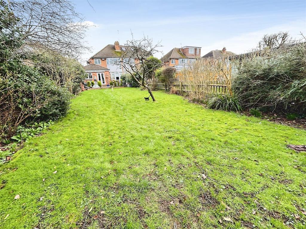 Back Garden.JPEG.jpg
