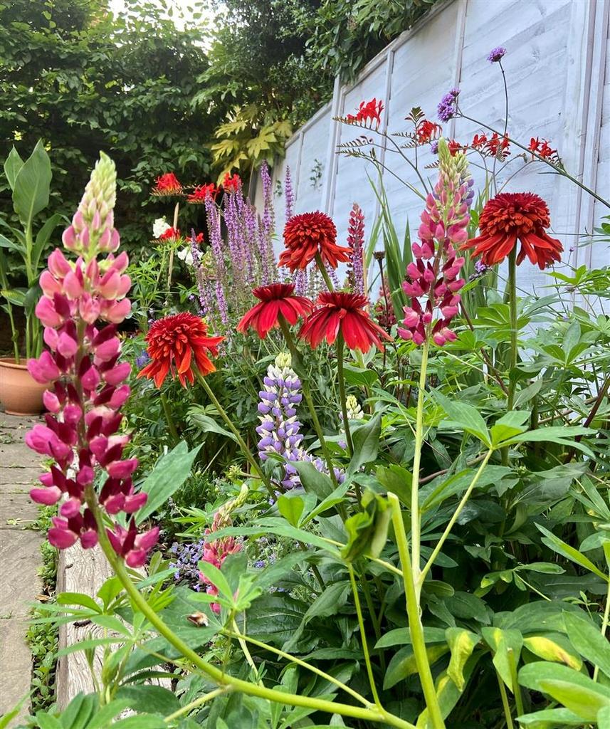 Garden 3.jpg