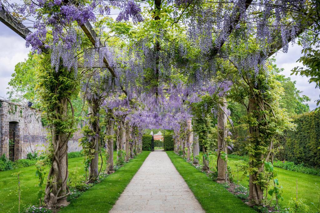 Garden view, garden
