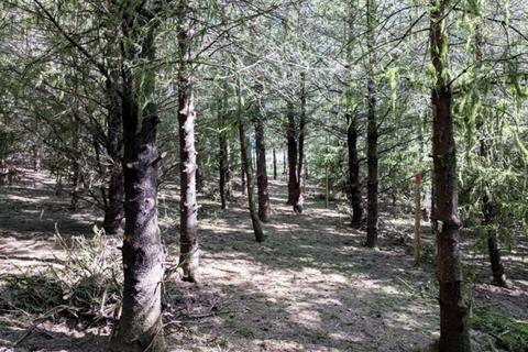 undefined, Hoobs Wood, Bratton Fleming, Near Lynton, Devon EX31