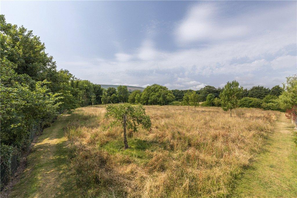 Communal Meadow