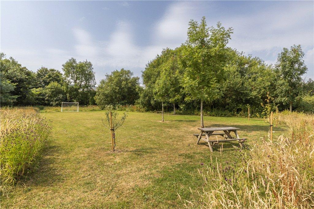 Communal Meadow