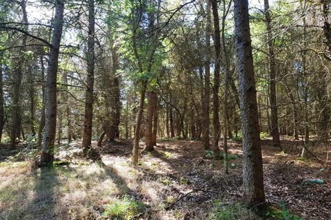 undefined, Woolstone Wood, Landkey, Near Barnstaple, Devon EX32