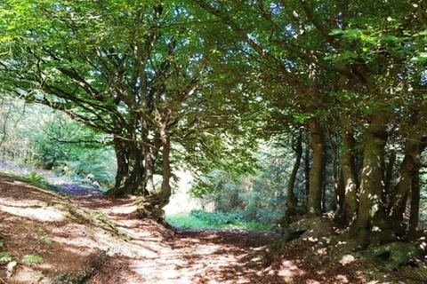 undefined, Woolstone Wood, Landkey, Near Barnstaple, Devon EX32