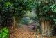Additional image 34 of Farley Lane, Westerham, Kent, TN16