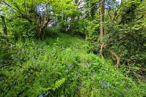 undefined, Worthy Wood, Sampford Courtenay, Okehampton, Devon  EX20