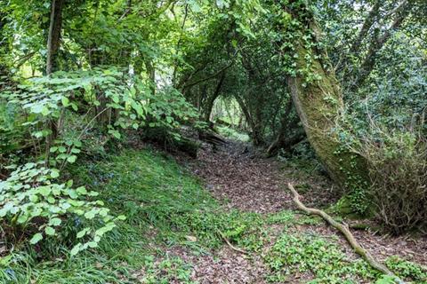 undefined, Worthy Wood, Sampford Courtenay, Okehampton, Devon  EX20