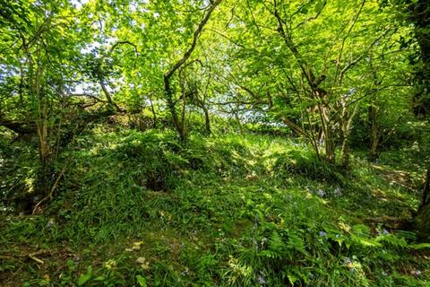 undefined, Worthy Wood, Sampford Courtenay, Okehampton, Devon  EX20