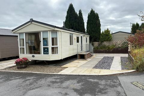 undefined, Newcastle Emlyn