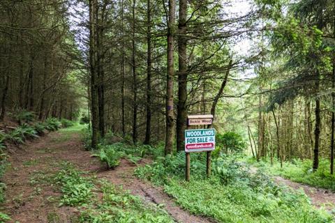 undefined, Bickle Wood, Landkey, Near Barnstaple, Devon EX32