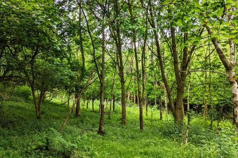 undefined, Bickle Wood, Landkey, Near Barnstaple, Devon EX32