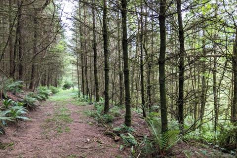 undefined, Bickle Wood, Landkey, Near Barnstaple, Devon EX32