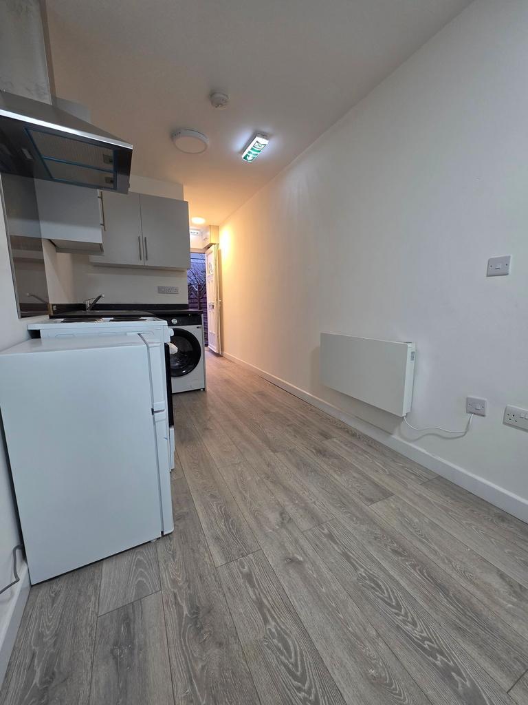 Long, modern kitchenette with wood-effect floor...