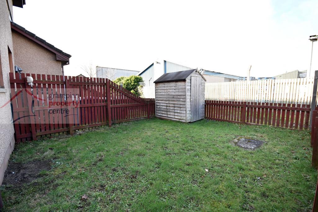 Garden .JPG
