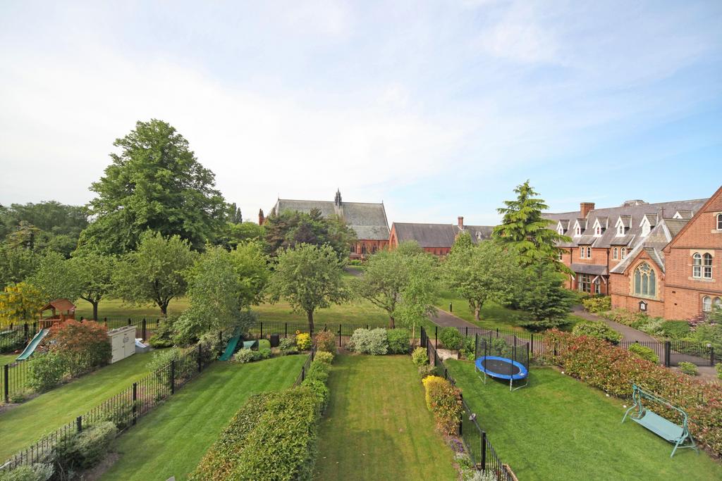 Rear View