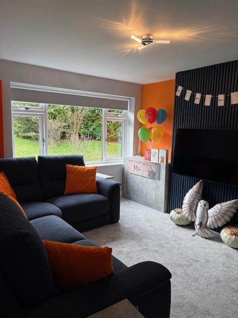 Image13