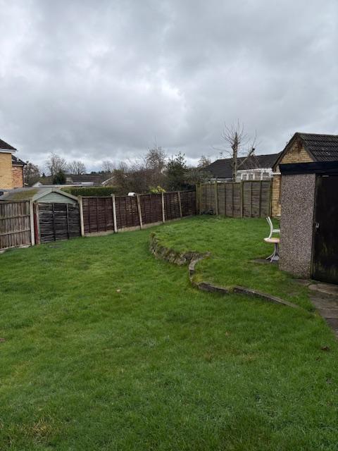 Image54