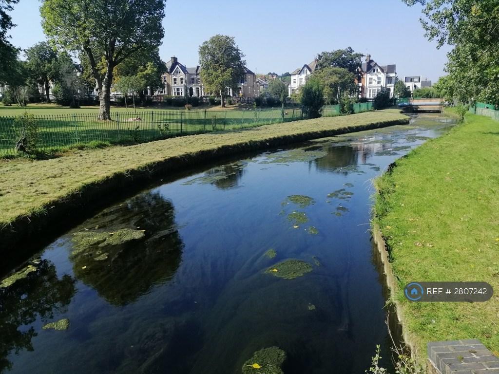 New River Directly Opposite