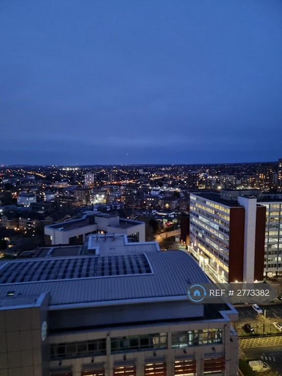 View From Apt 2