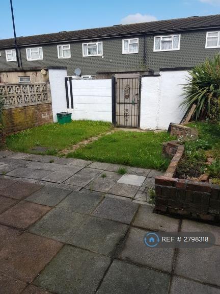 Back Garden