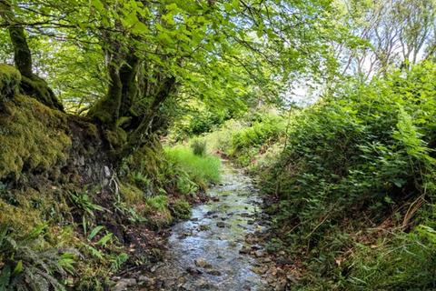 undefined, Rye Park Wood, Bratton Fleming, Near Lynton, Devon EX31