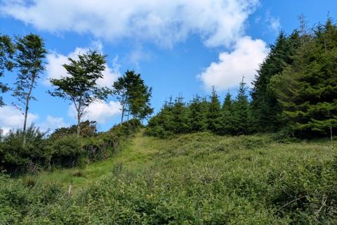 undefined, Rye Park Wood, Bratton Fleming, Near Lynton, Devon EX31