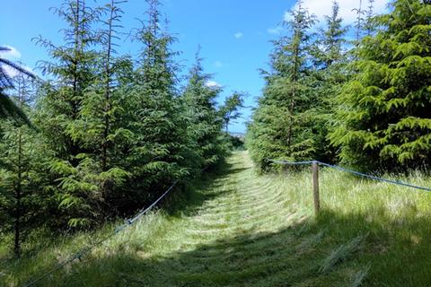 undefined, Rye Park Wood, Bratton Fleming, Near Lynton, Devon EX31