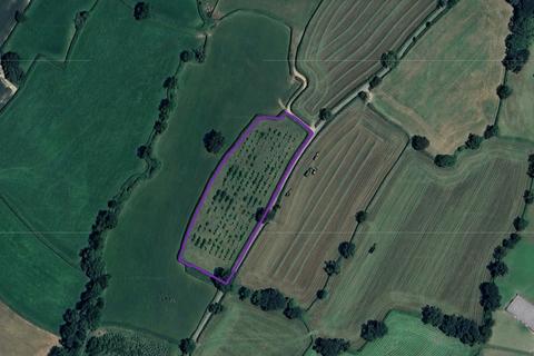 Land for sale, Awliscombe, Honiton