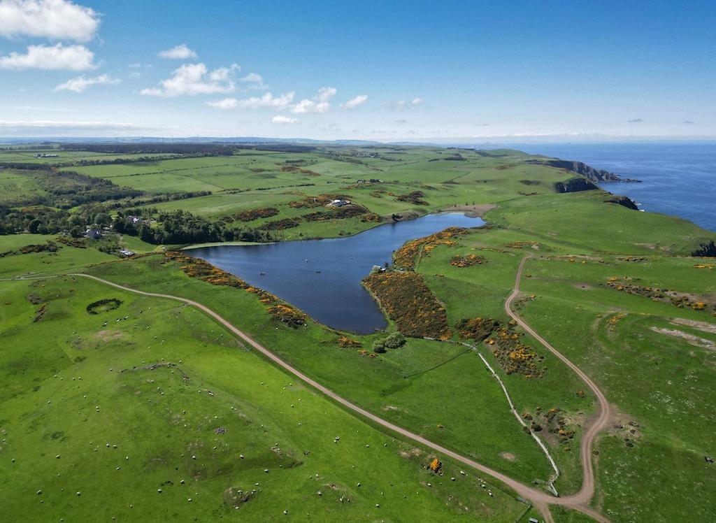 Drone Image