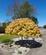 Additional image 25 of The Heather Patch, Duns Road, Swinton, Duns, TD11 3JB