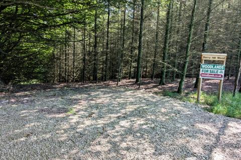 undefined, Berry Hill Wood, Bratton Fleming, Near Lynton, Devon EX31