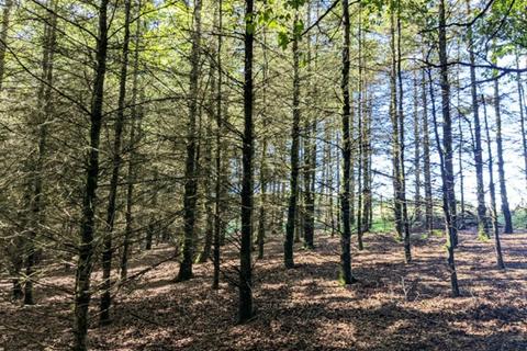 undefined, Berry Hill Wood, Bratton Fleming, Near Lynton, Devon EX31