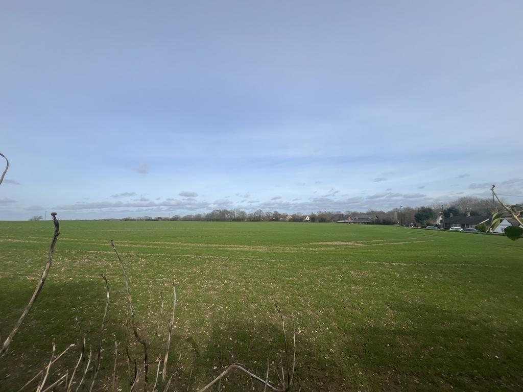 Views From Garden