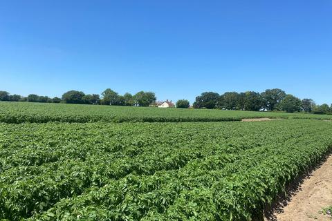 undefined, Sweffling, Nr Saxmundham, Suffolk