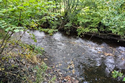 undefined, Clinton Wood, Chawleigh, Chulmleigh, Devon EX18