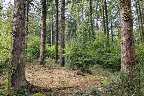 undefined, Clinton Wood, Chawleigh, Chulmleigh, Devon EX18