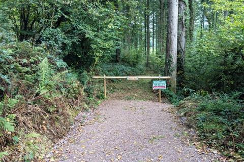 undefined, Clinton Wood, Chawleigh, Chulmleigh, Devon EX18