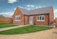 Rose Gardens, Manea, March