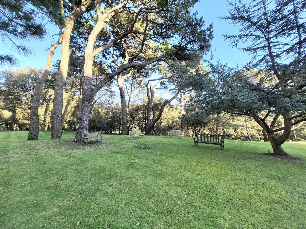 Communal Gardens