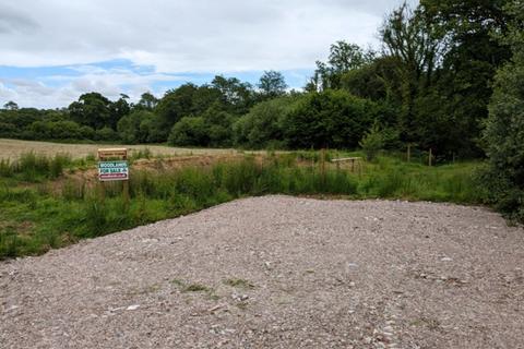 undefined, Trehele Copse & Meadow, Near Aveton Gifford, Modbury, Devon PL21
