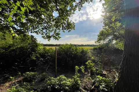 undefined, Forest Road, Colgate, Horsham