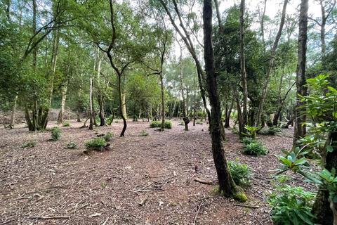 undefined, Forest Road, Colgate, Horsham
