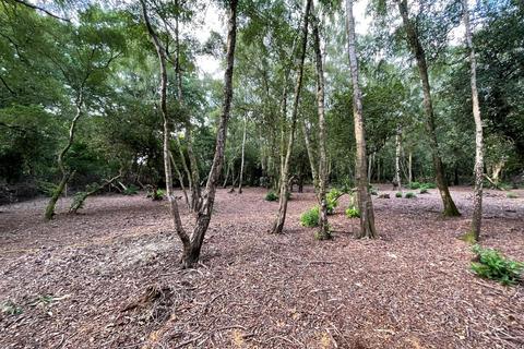 undefined, Forest Road, Colgate, Horsham